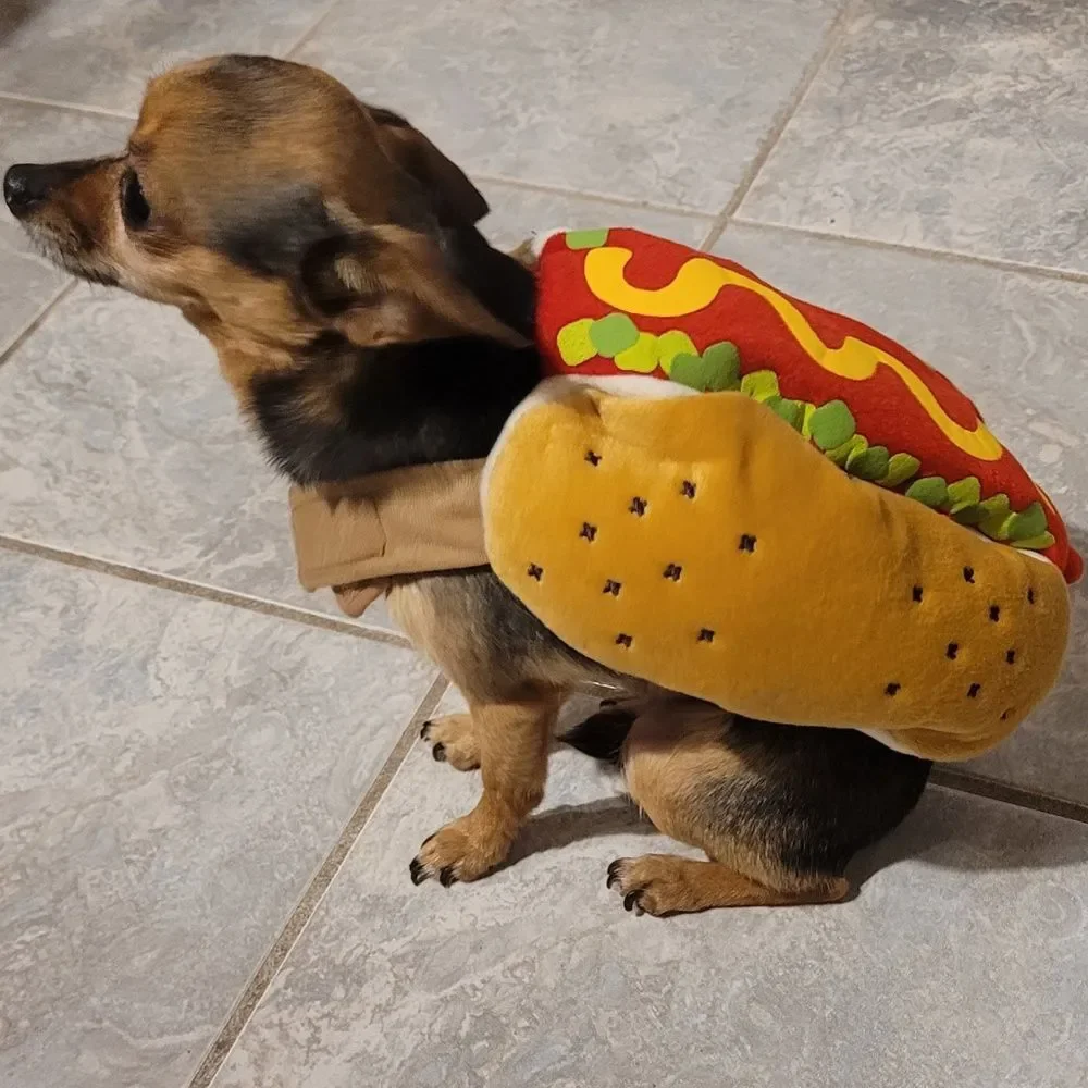 Padded Hot Dog Pet Costume Ketchup Mustard Relish Detail Halloween Size XS